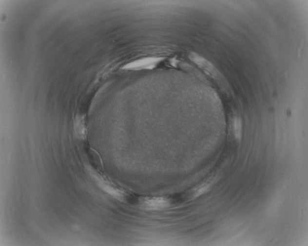 X0000060550383200511241231