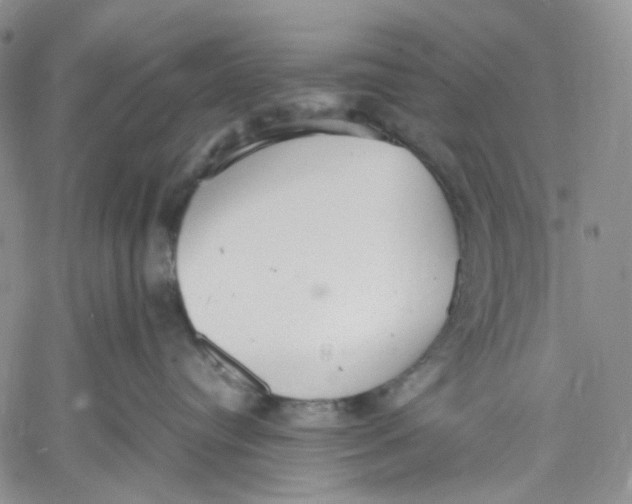 X0000060550384200511241231