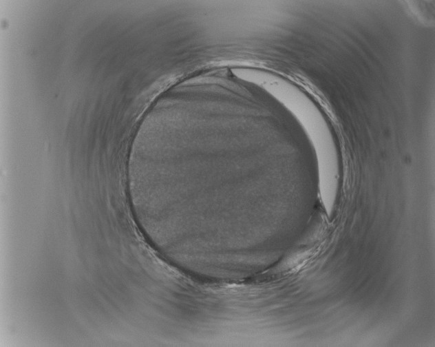 X0000060550385200511241231