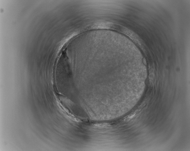 X0000060550386200511241231