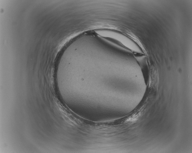 X0000060550387200511241231