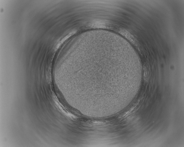 X0000060550390200511241231