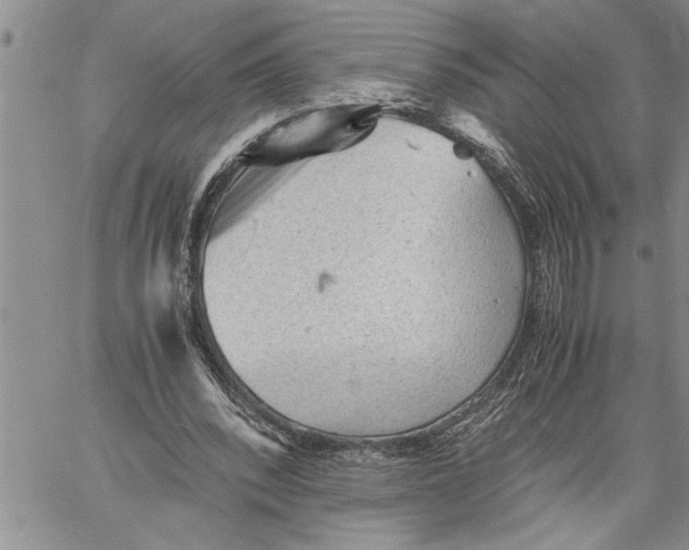 X0000060550392200511241230