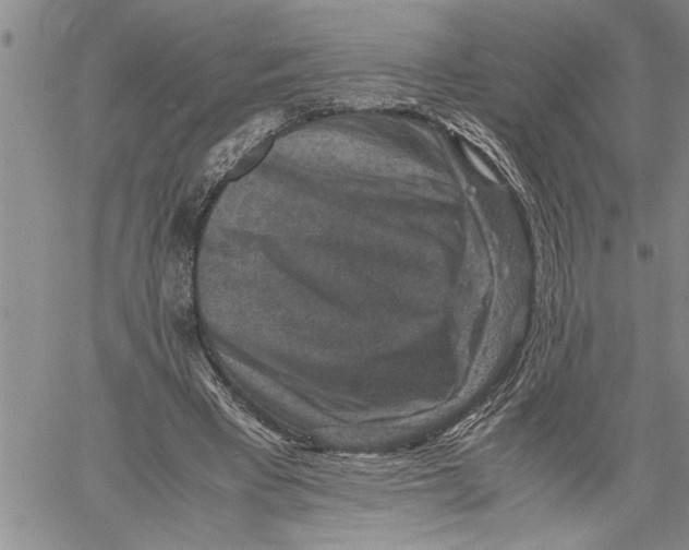 X0000060550393200511241230