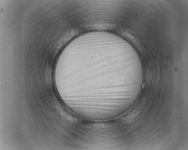 X0000060550394200511241230