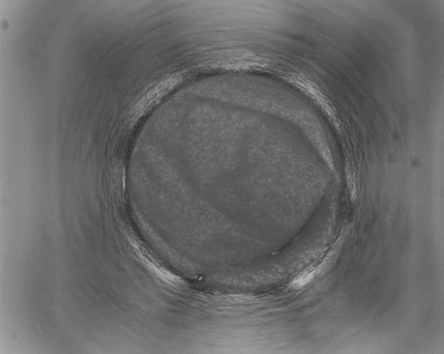 X0000060550397200511241230