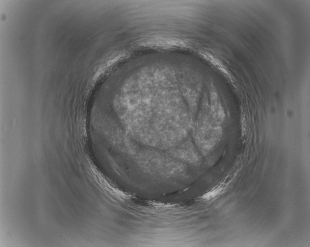 X0000060550399200511241230