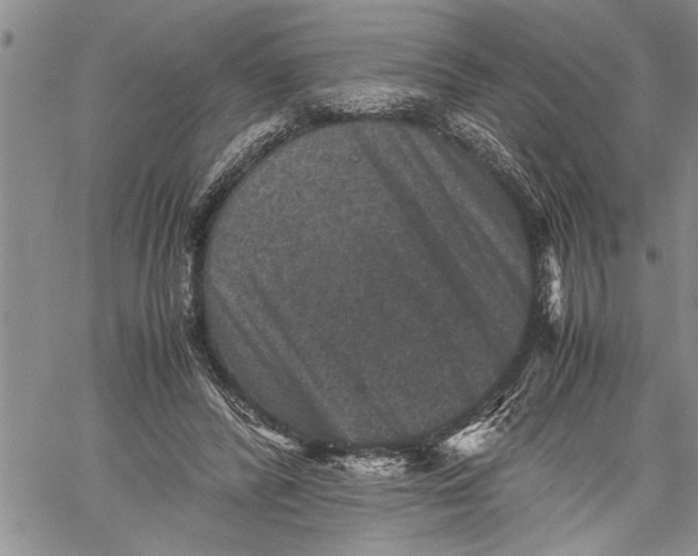 X0000060550400200511241230