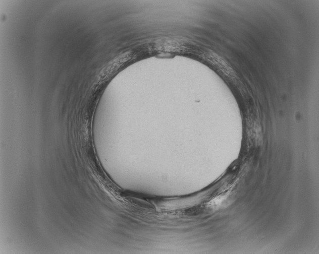 X0000060550401200511241230