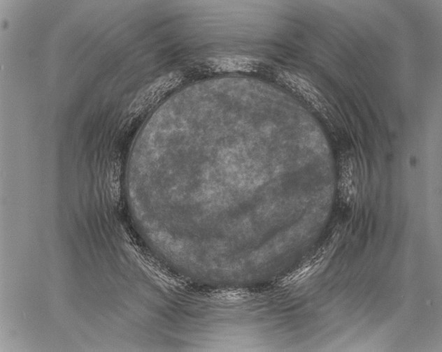 X0000060550402200511241230