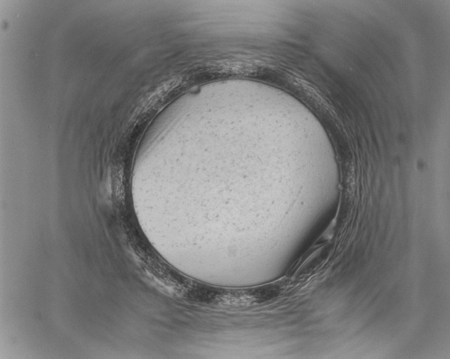 X0000060550403200511241230