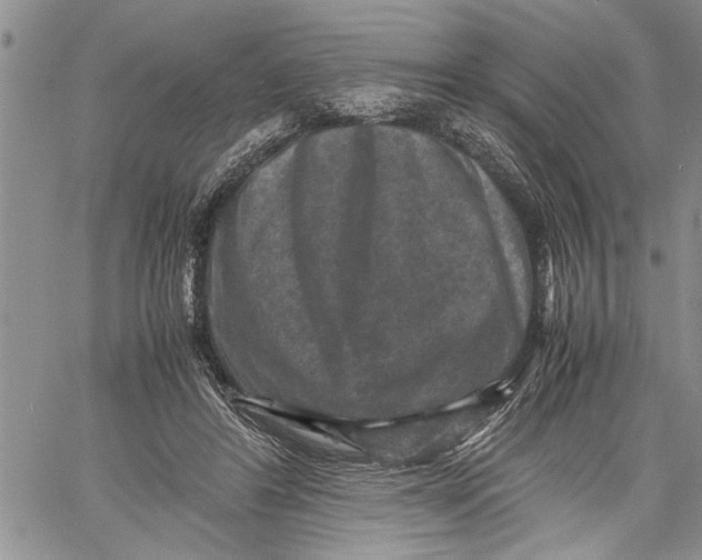 X0000060550404200511241230