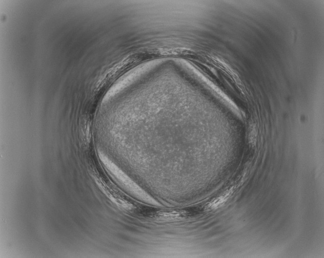 X0000060550405200511241230