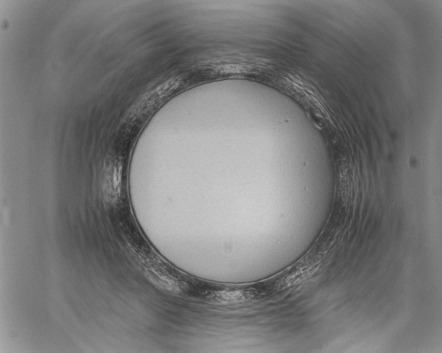 X0000060550406200511241230