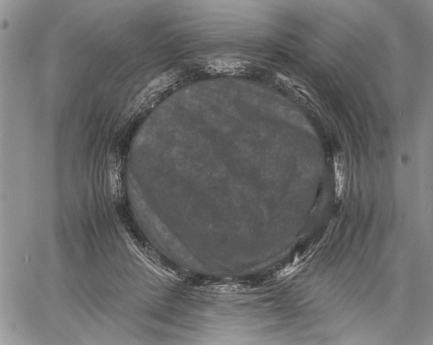 X0000060550408200511241230