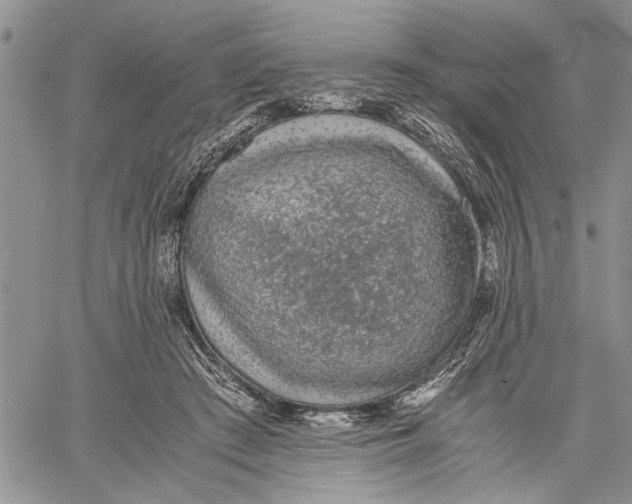 X0000060550409200511241230