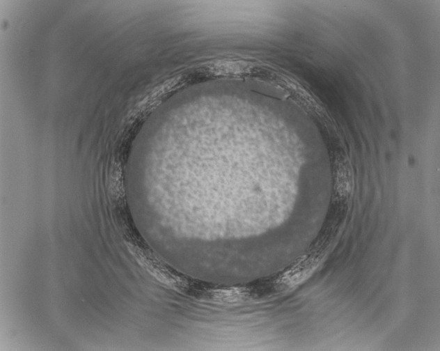 X0000060550411200511241230