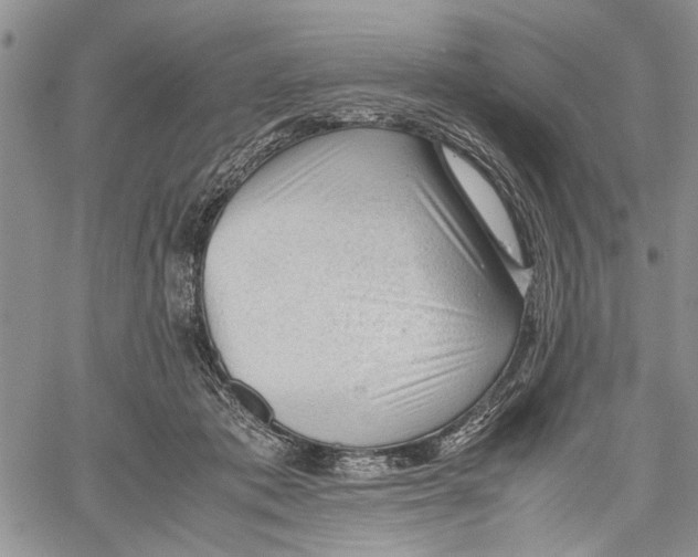 X0000060550413200511241230