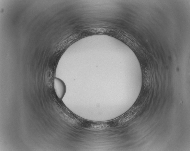 X0000060550414200511241230