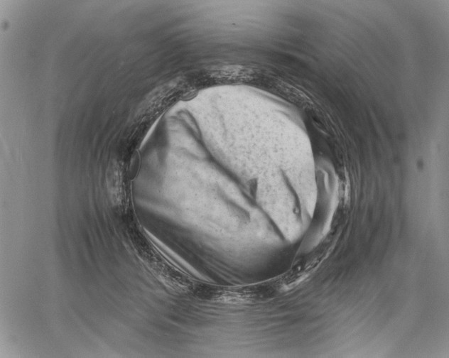 X0000060550416200511241230