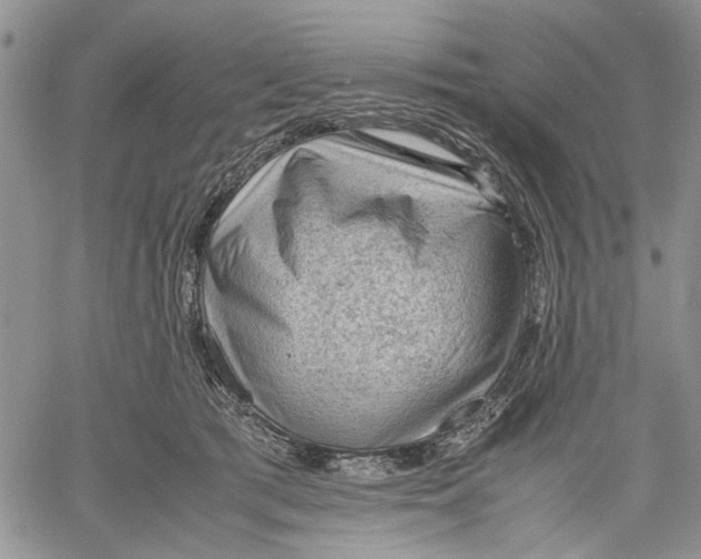 X0000060550417200511241230