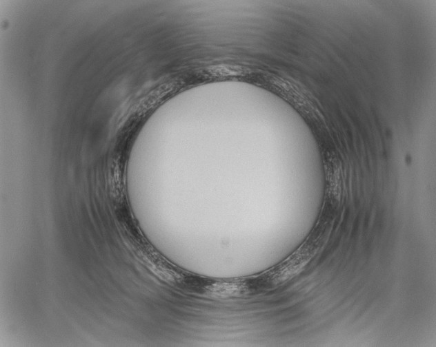 X0000060550418200511241230