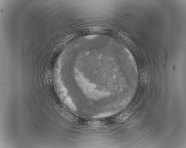 X0000060550419200511241230