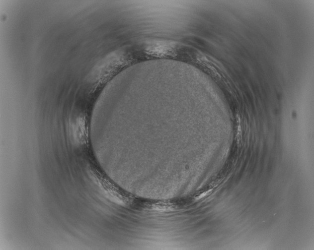 X0000060550420200511241230