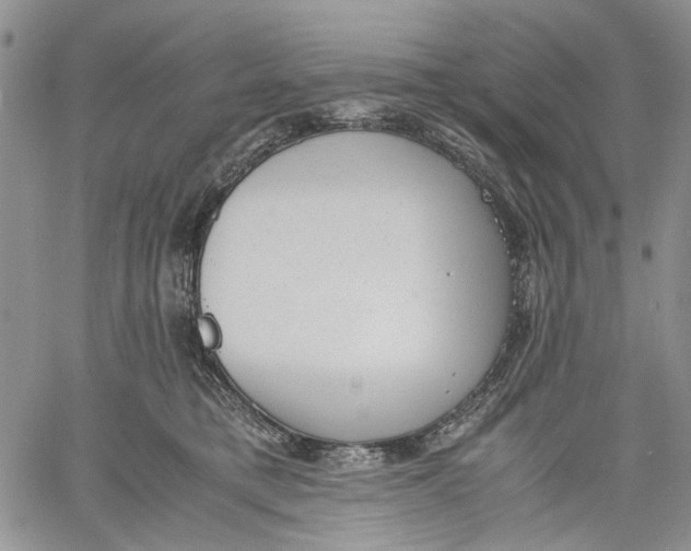 X0000060550421200511241230