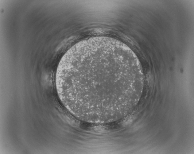 X0000060550423200511241230