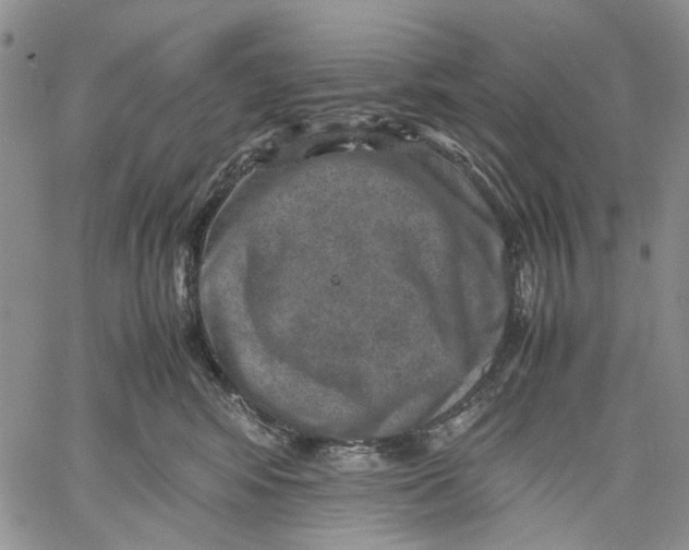 X0000060550424200511241230