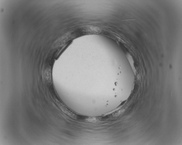 X0000060550425200511241230