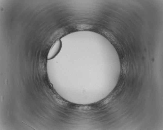 X0000060550426200511241230