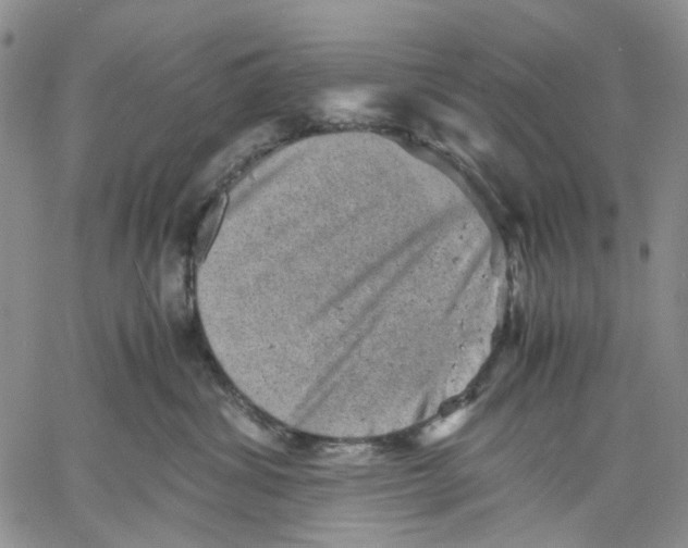 X0000060550428200511241230