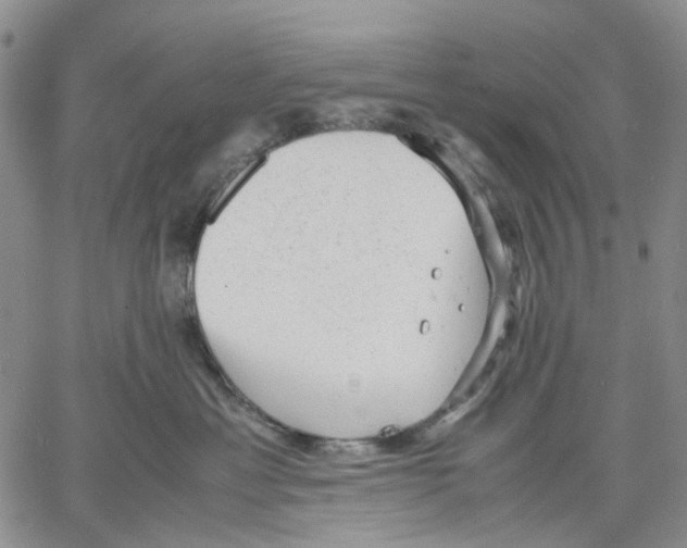 X0000060550429200511241230