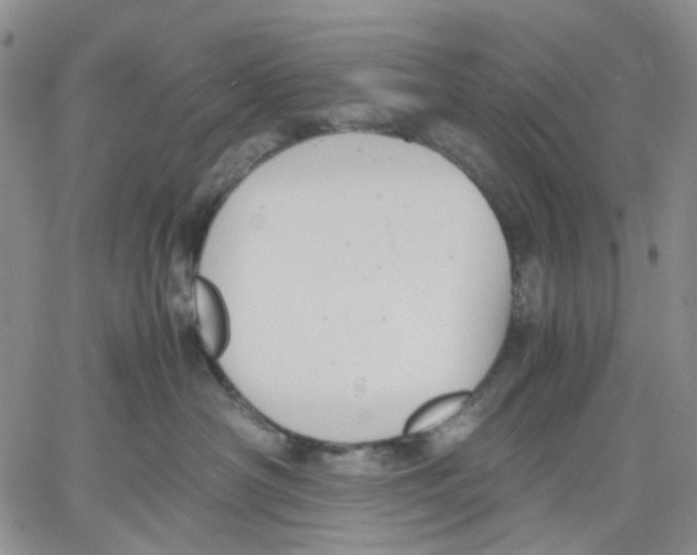 X0000060550430200511241230