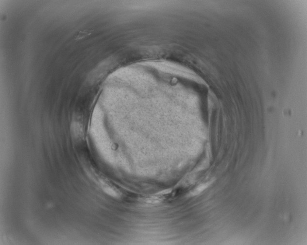 X0000060550432200511241230