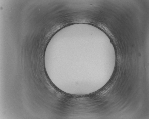 X0000060550433200511241229