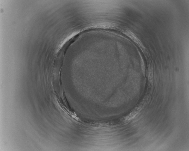 X0000060550434200511241229