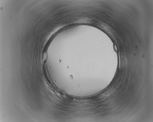 X0000060550435200511241229