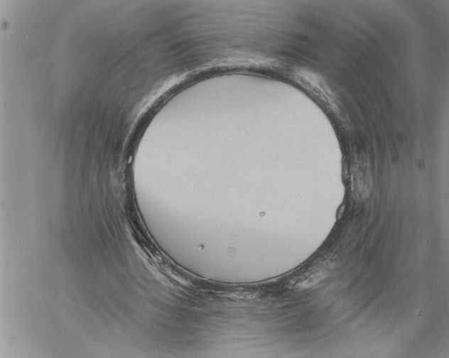 X0000060550436200511241229