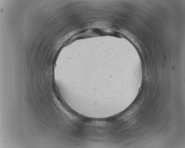 X0000060550437200511241229