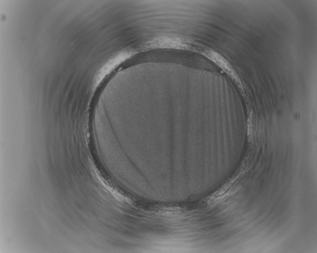 X0000060550438200511241229