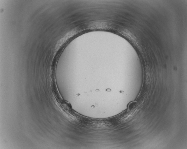 X0000060550439200511241229