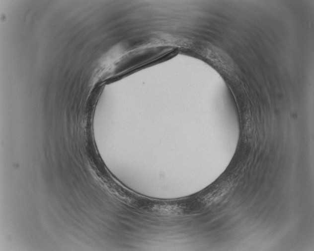 X0000060550440200511241229