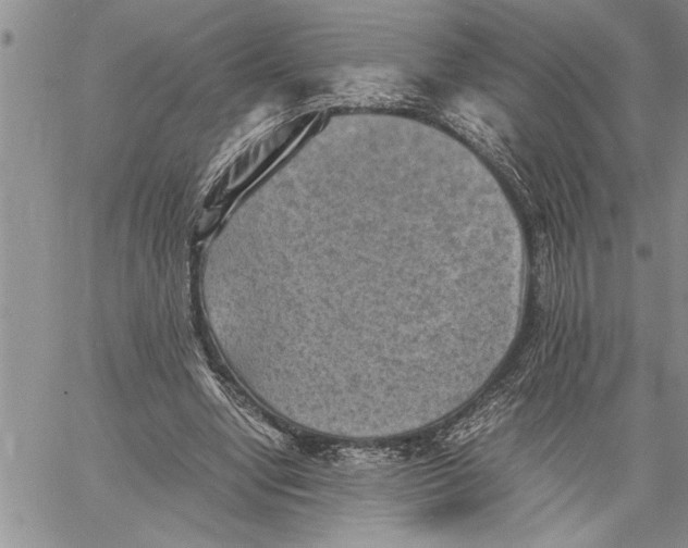 X0000060550442200511241229