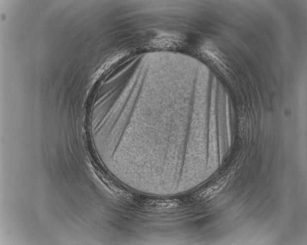 X0000060550443200511241229