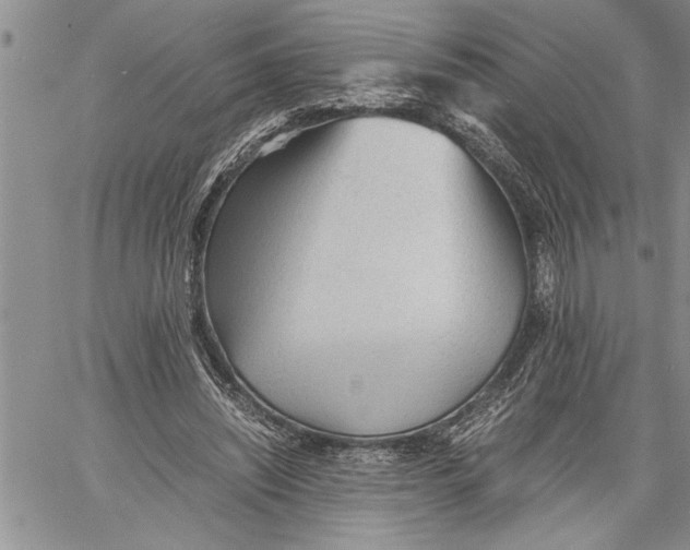 X0000060550444200511241229