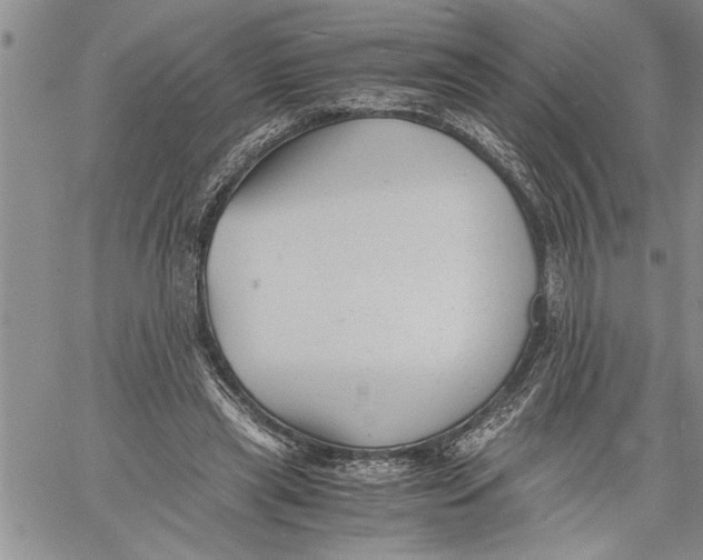 X0000060550445200511241229