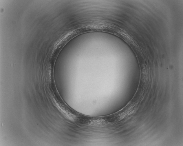 X0000060550446200511241229